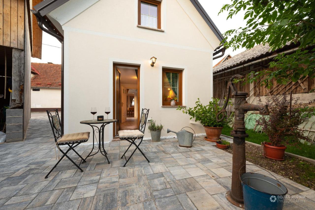 Cherry House - Cosy House - Ideal For Bear Watching, In The Neighborhood Of The Medieval Sneznik Castle Stari Trg pri Lozu Eksteriør billede