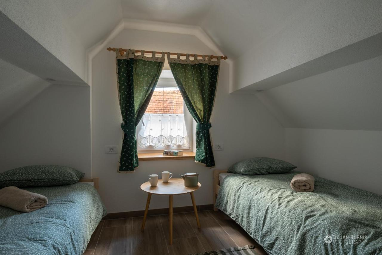Cherry House - Cosy House - Ideal For Bear Watching, In The Neighborhood Of The Medieval Sneznik Castle Stari Trg pri Lozu Eksteriør billede