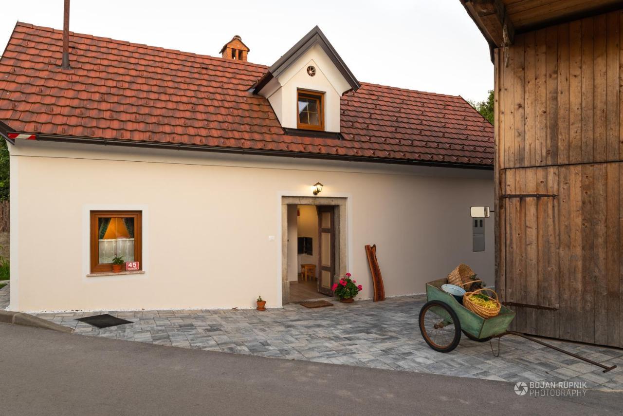 Cherry House - Cosy House - Ideal For Bear Watching, In The Neighborhood Of The Medieval Sneznik Castle Stari Trg pri Lozu Eksteriør billede