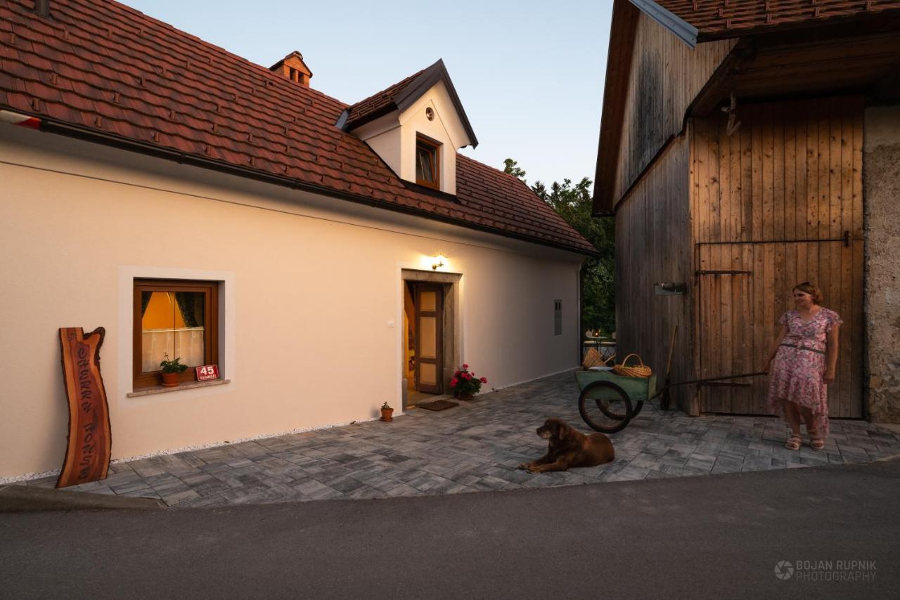 Cherry House - Cosy House - Ideal For Bear Watching, In The Neighborhood Of The Medieval Sneznik Castle Stari Trg pri Lozu Eksteriør billede